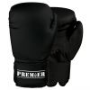 PREMIER TRAINING GLOVES Photo 1